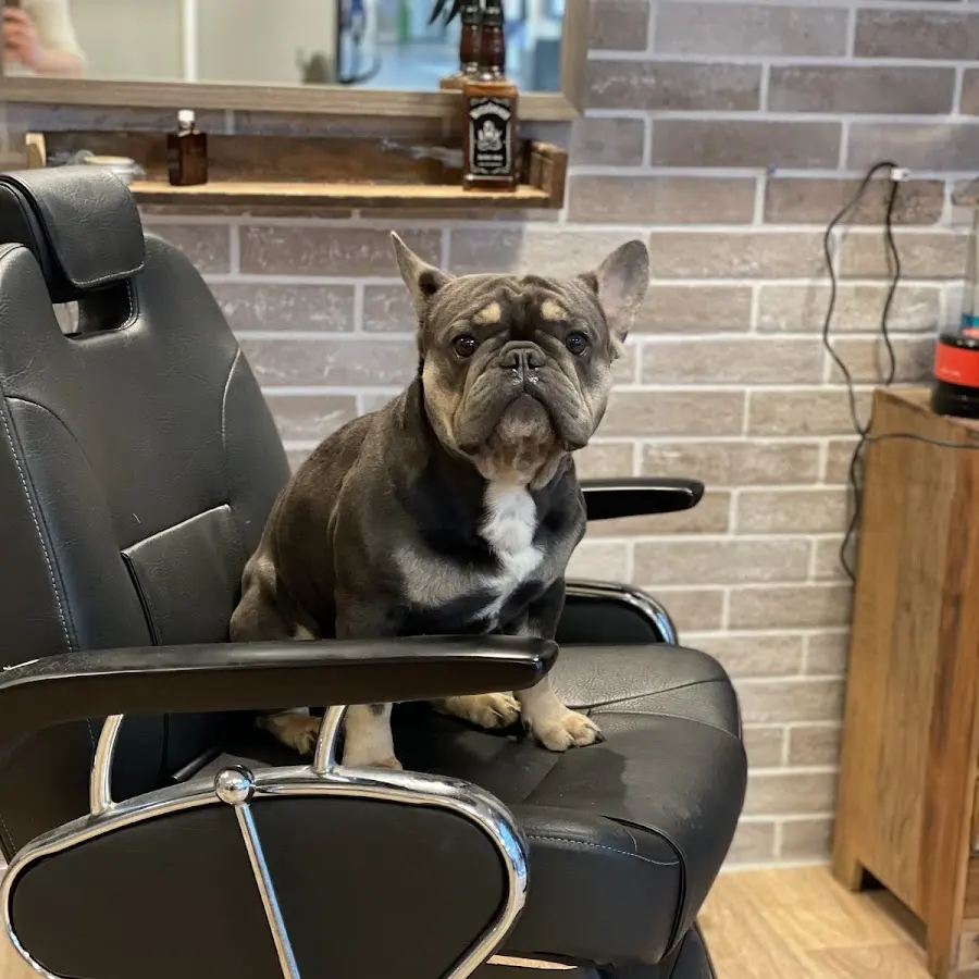 Foto från Adams Barbershop i Uppsala