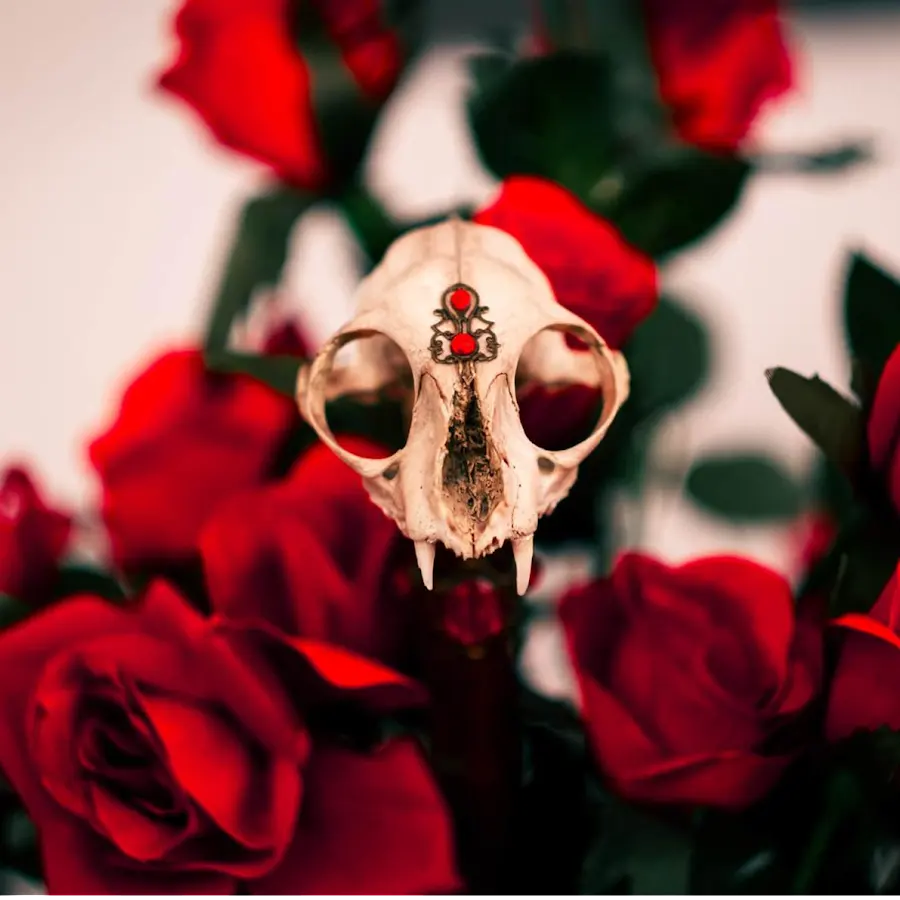 Foto från Bozza Workshop AB i Luleå